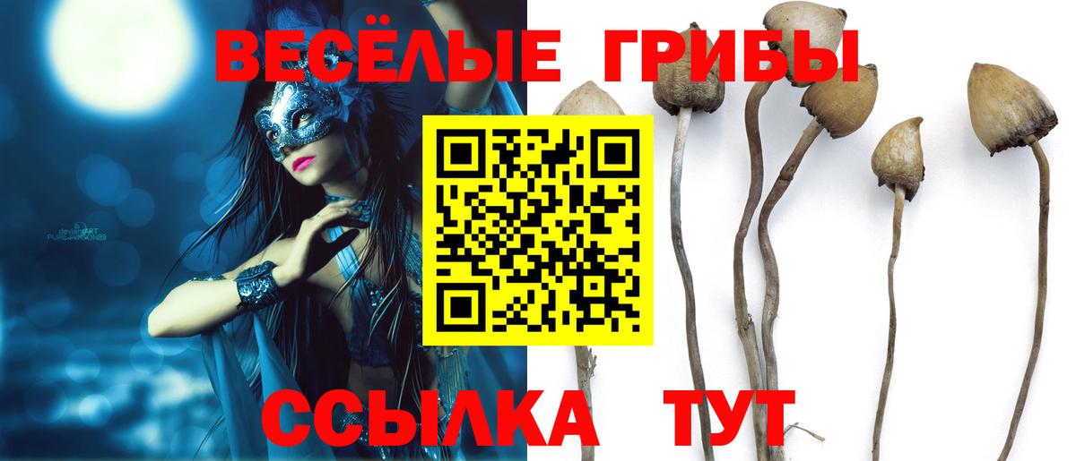 Галлюциногенные грибы Magic Shrooms Видное